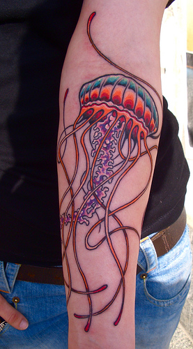 Jellyfish Tattoos | Notations & Nihilism